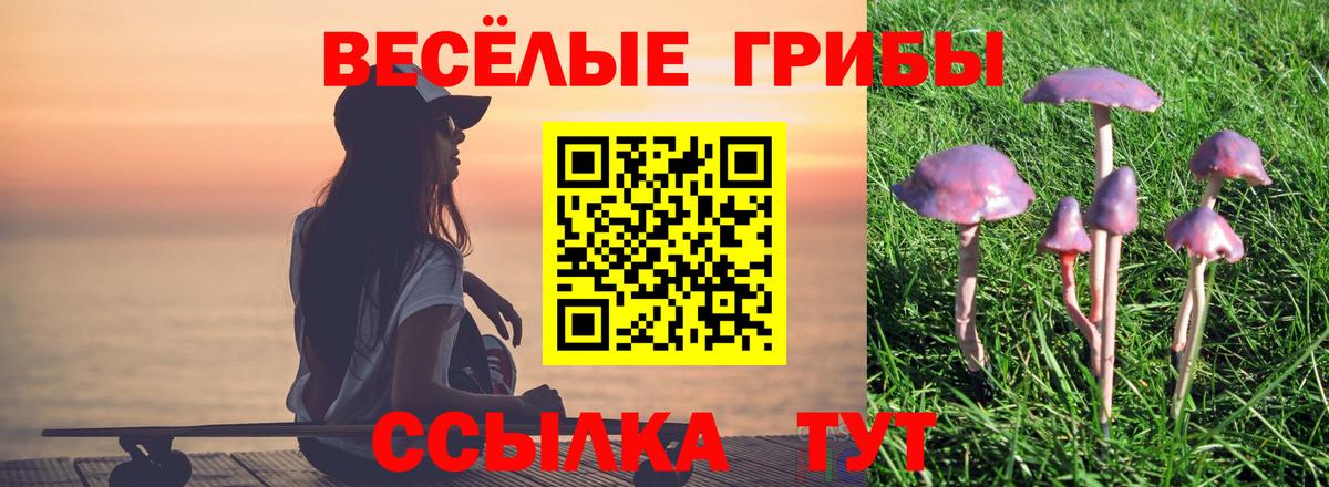 Псилоцибиновые грибы Cubensis  Вход с VPN  Междуреченск 